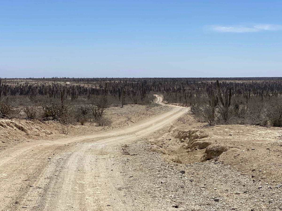 Rancho El Rosario #2 trail photo