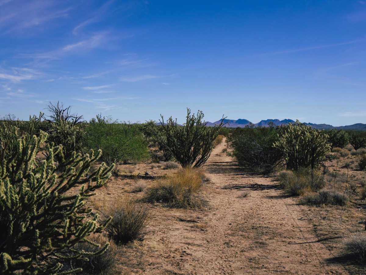 Fenceline Scratch trail photo