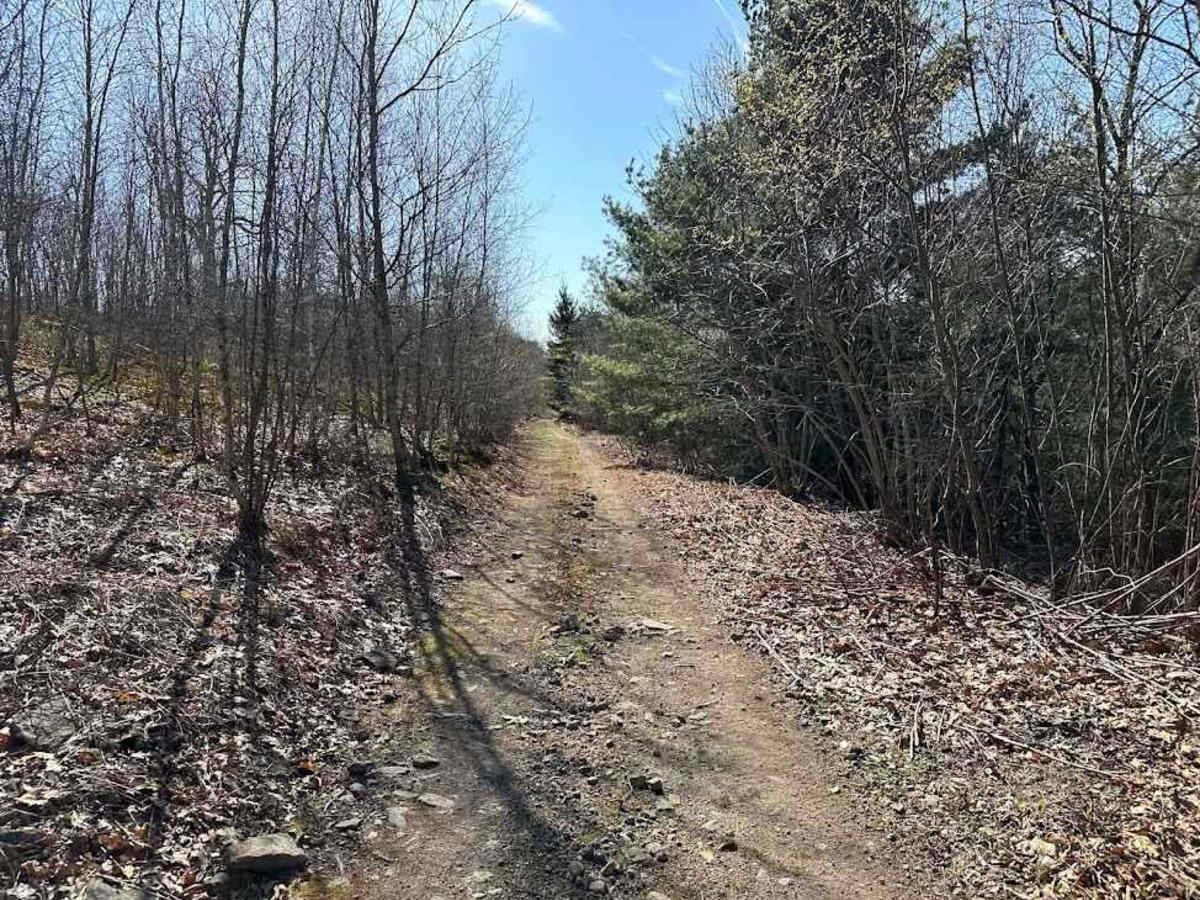 Old Power Plant Road photo 3