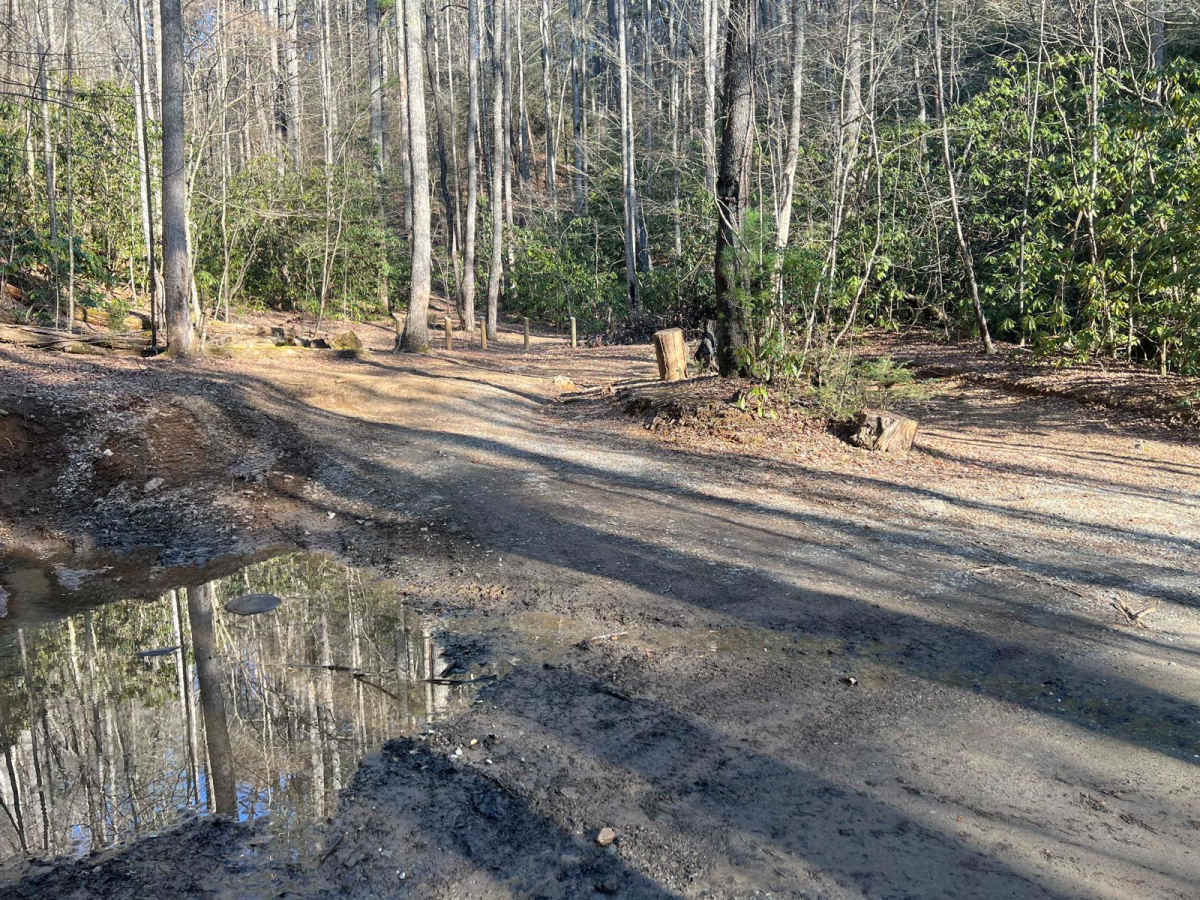 Cashes Valley Road photo 3