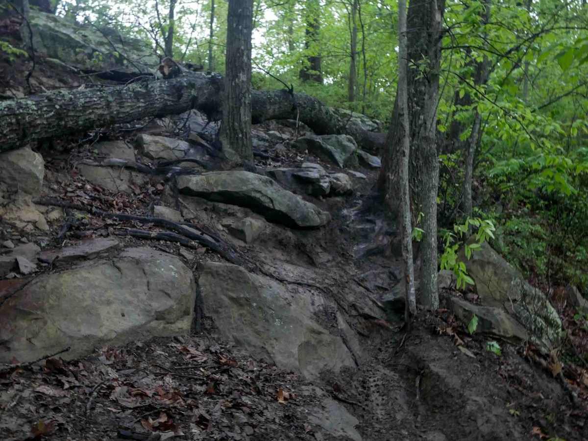 BM 199 trail photo