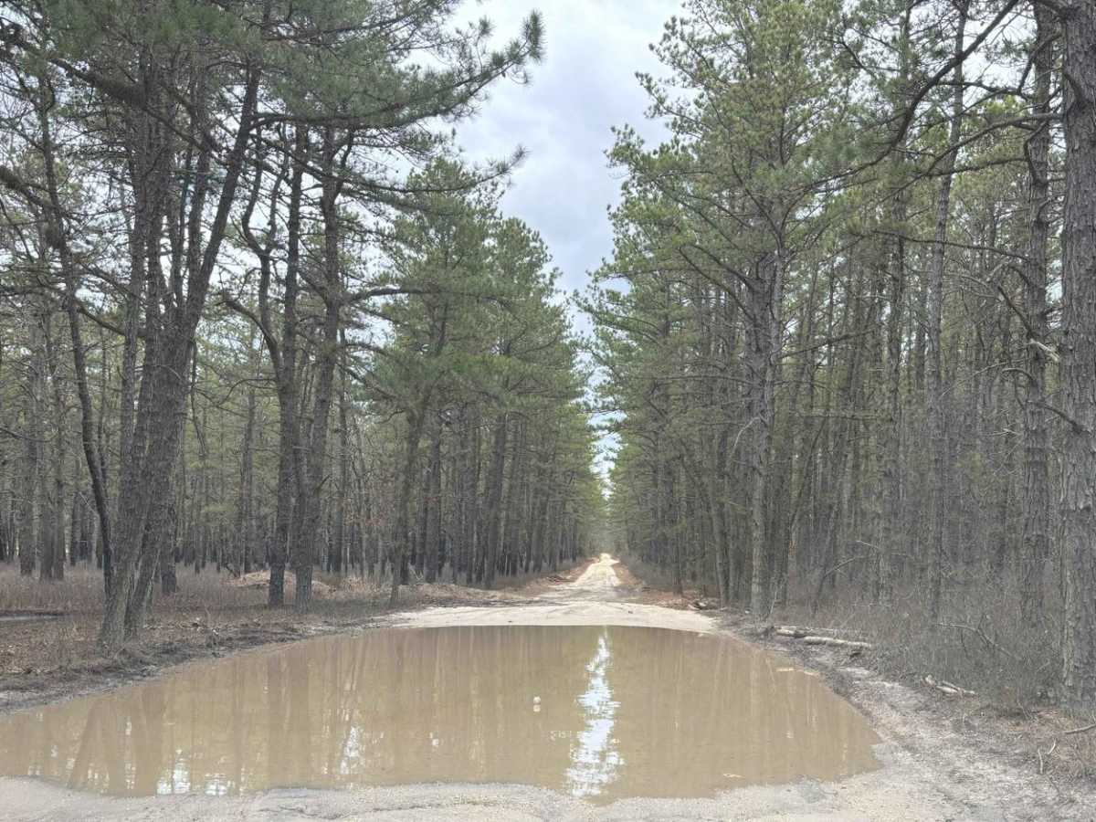 Bryant to Hays Road photo 5