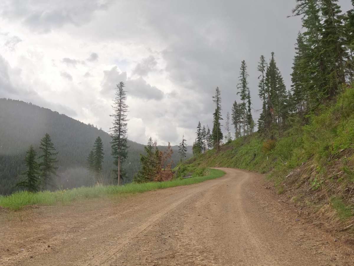 Second Creek Road-First Creek Road trail photo
