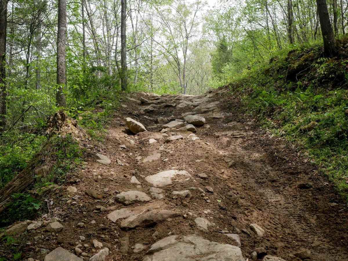 W58 trail photo