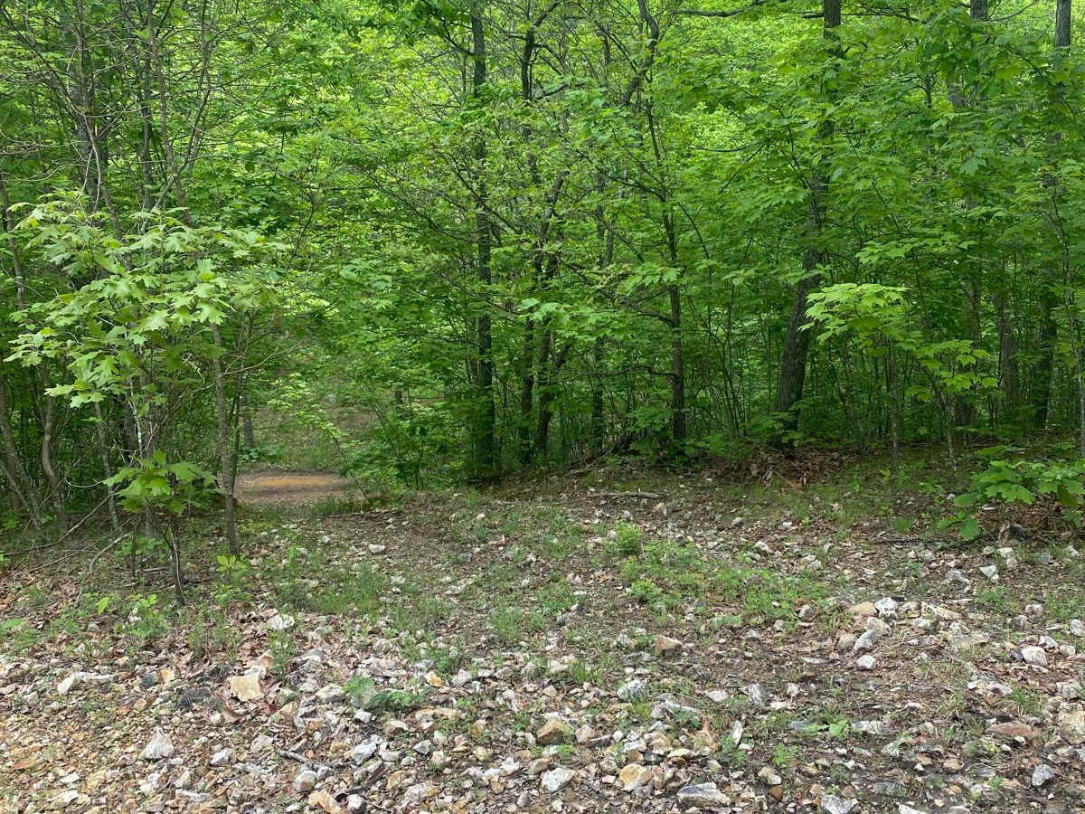 Pasture Parkway photo 3