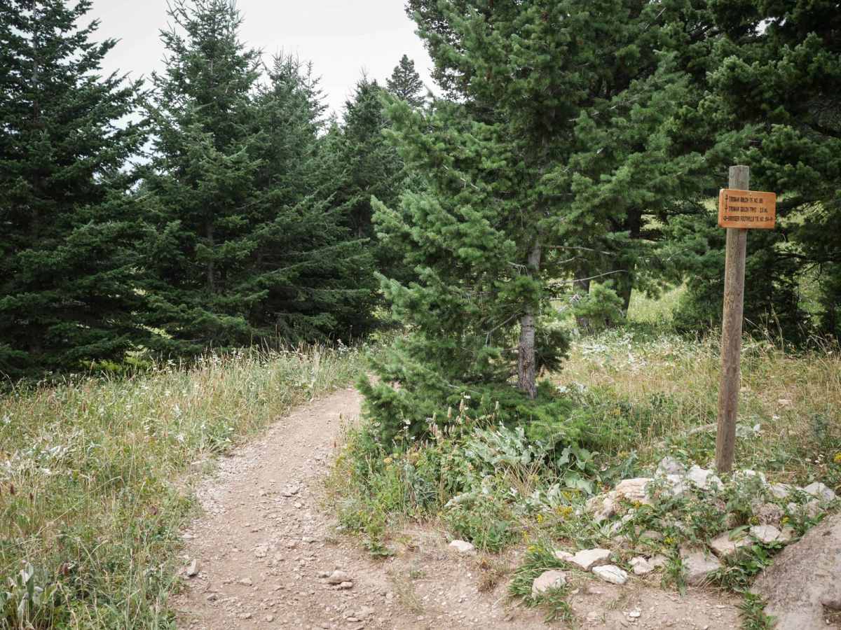 Truman Gulch photo 5