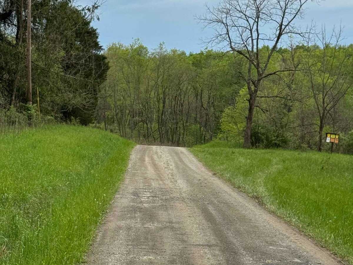 Buck Run Road photo 4