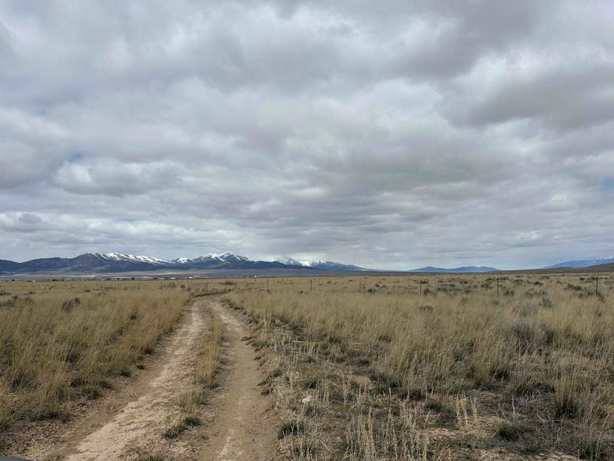 Canyon Carver trail photo