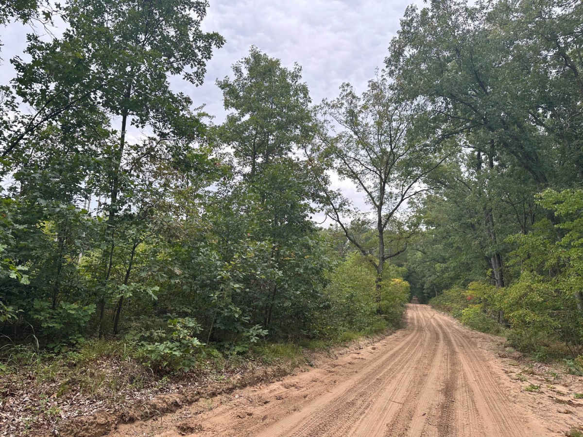 Allegan Sand Road-36th Street photo 3