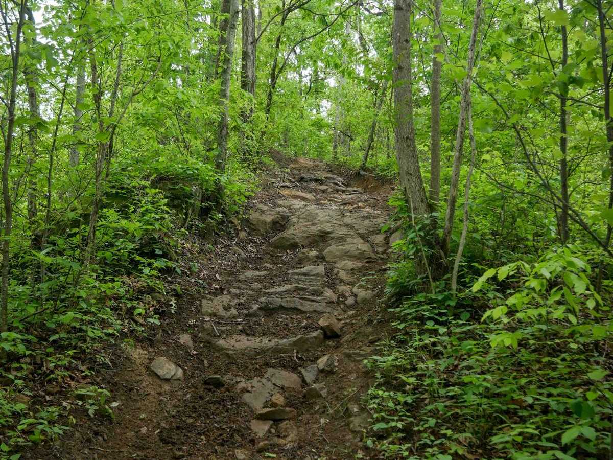 BM 186 trail photo