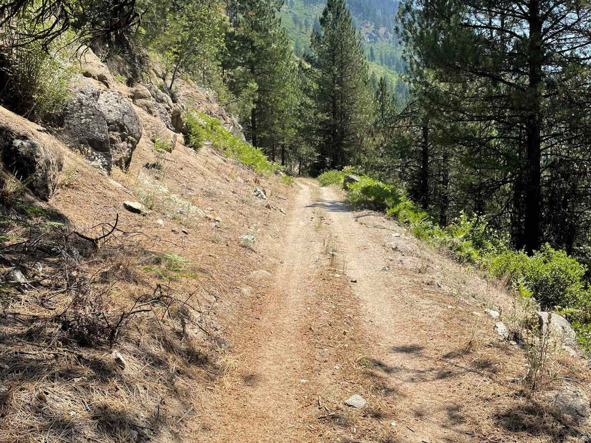Grass Mountain ATV photo 2