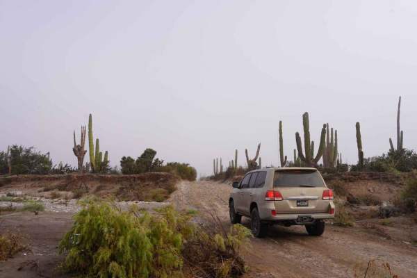 San Juanico to San Ignacio via the Coast.