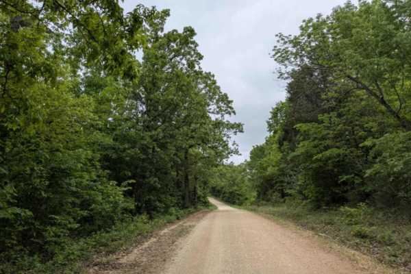 Hayden Road