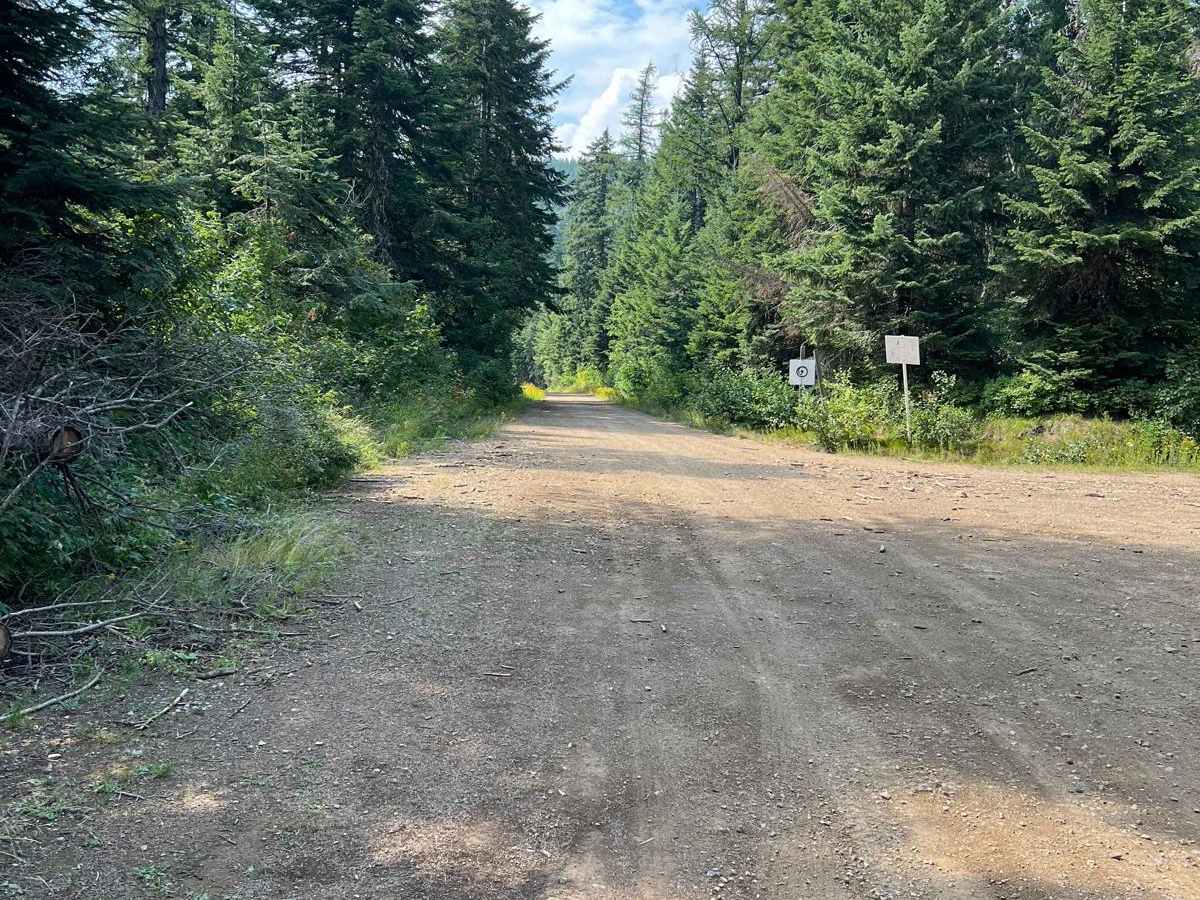 North Fork Road to Cascade Saddle photo 4