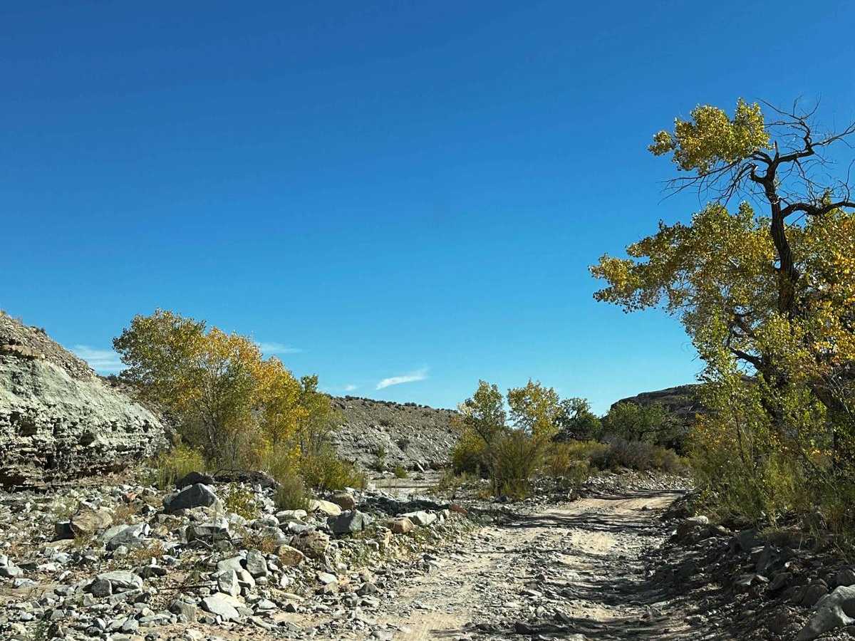 Crescent Creek photo 5