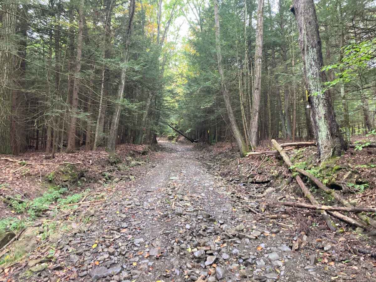 Cook Road trail photo