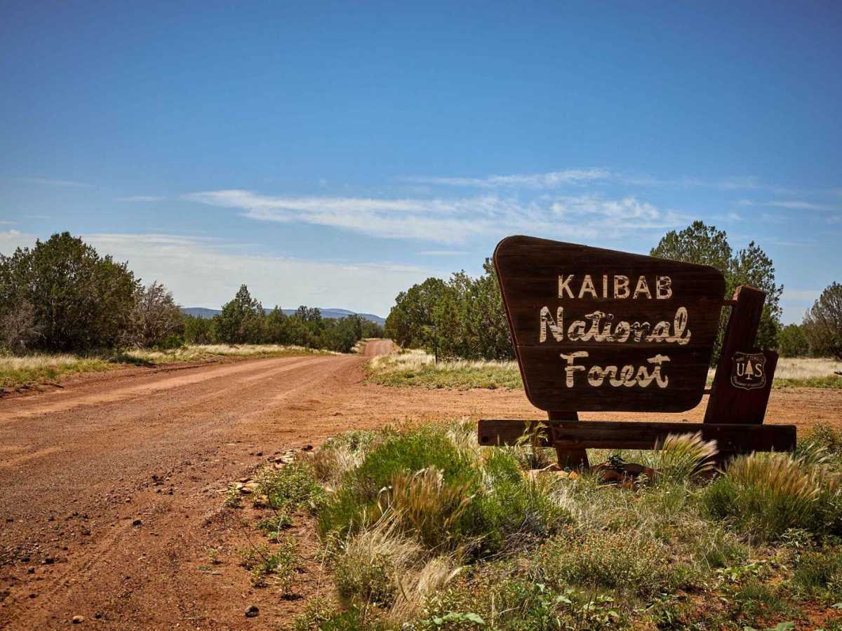 Washboard Way trail photo