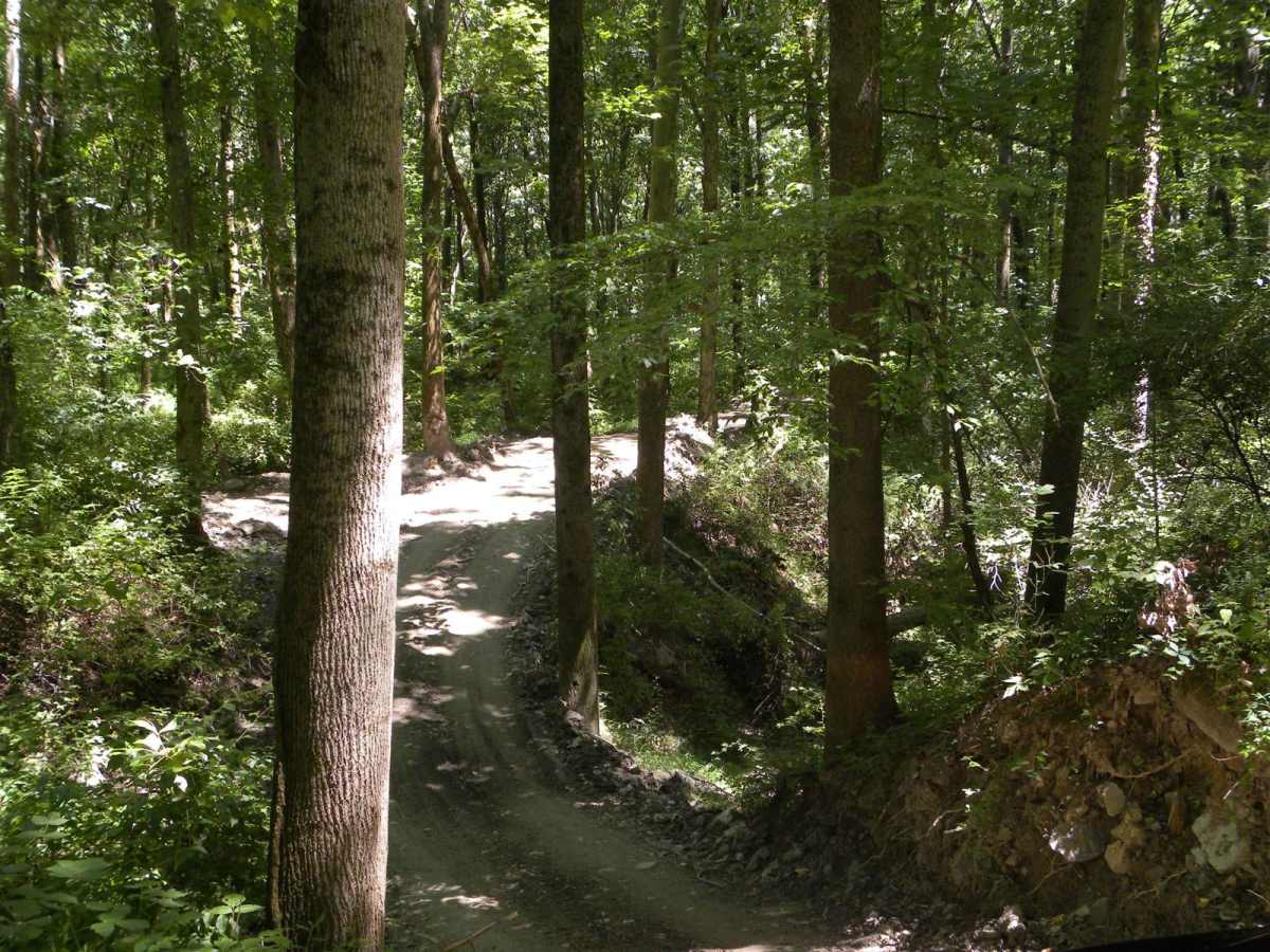 6A &6B loop photo 5