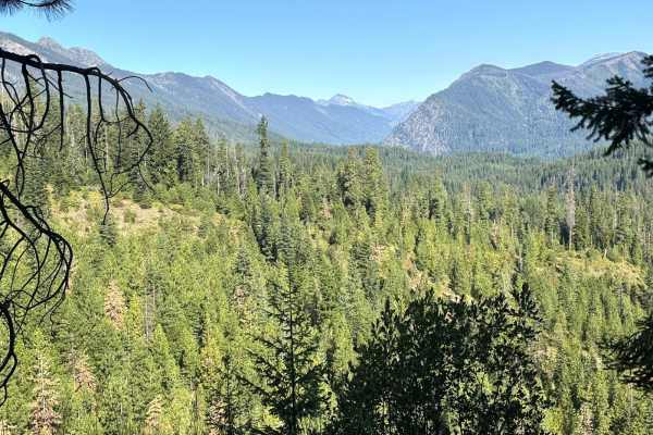 Pole Creek Loop