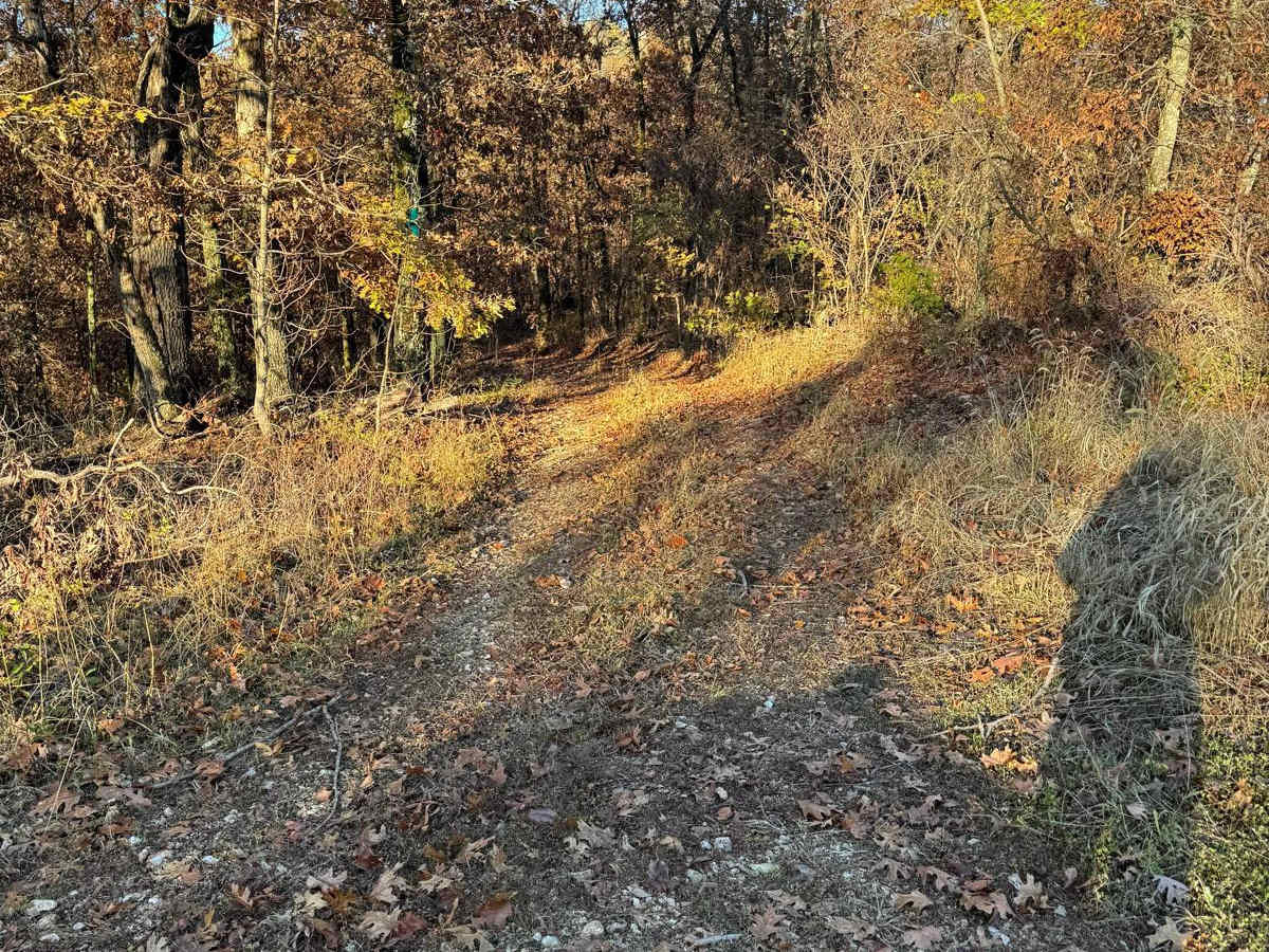 Green 113 trail photo