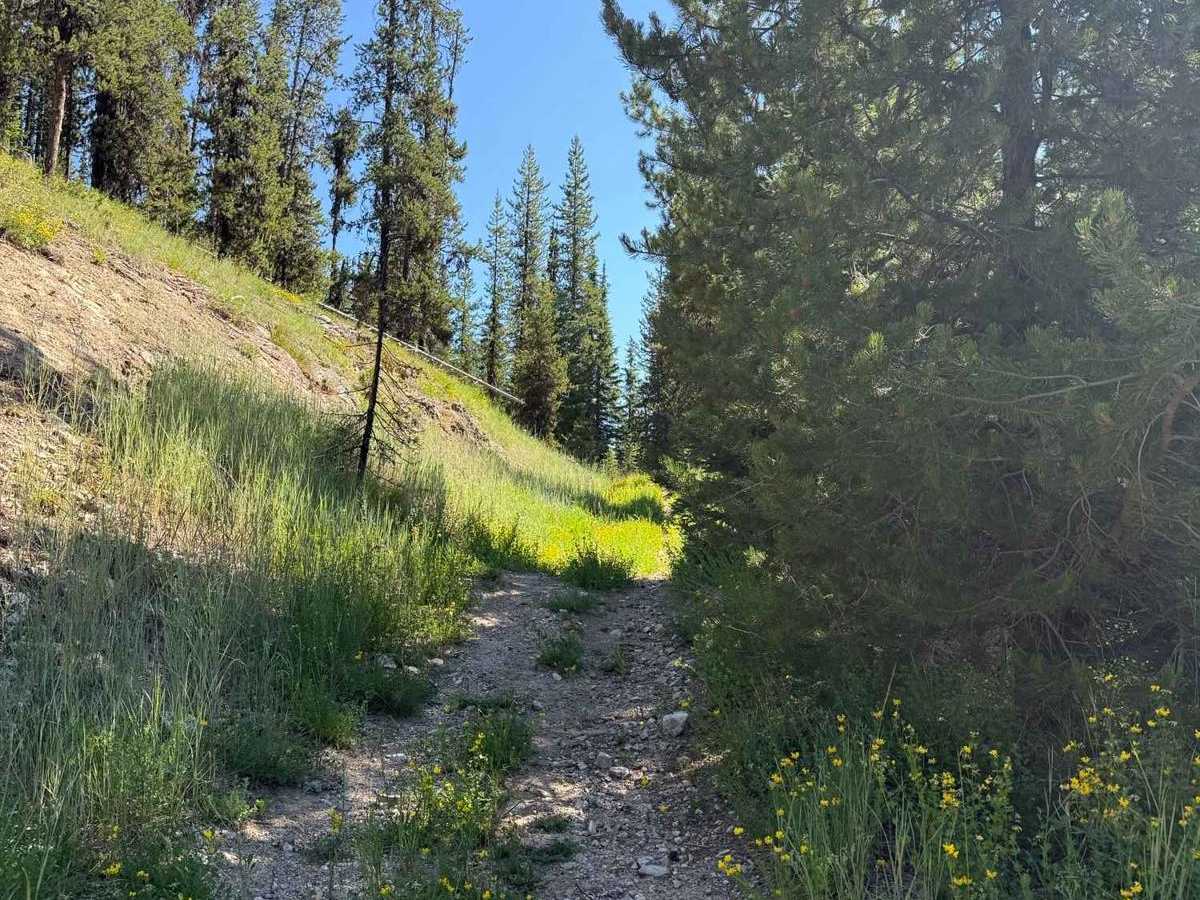 Green Mountain photo 5