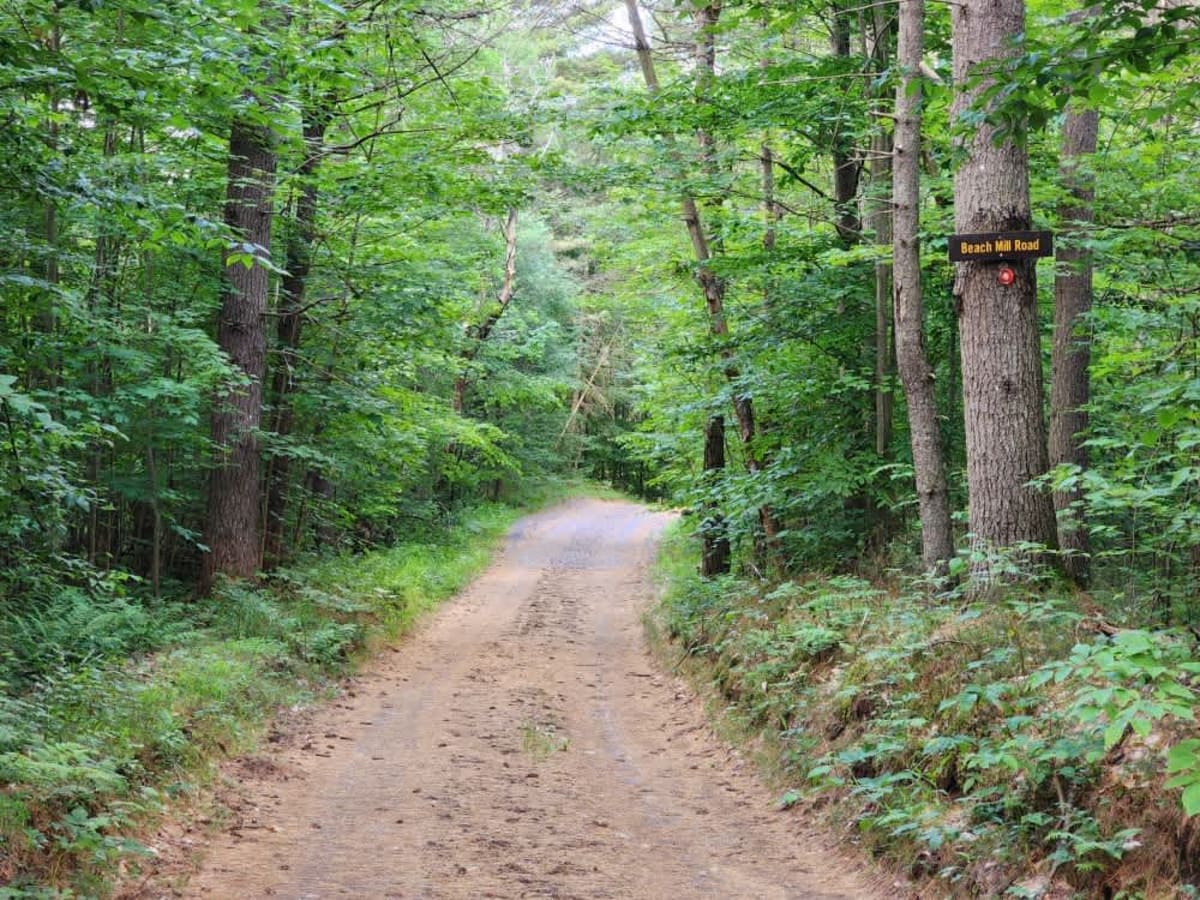 Beach Mill Road trail photo