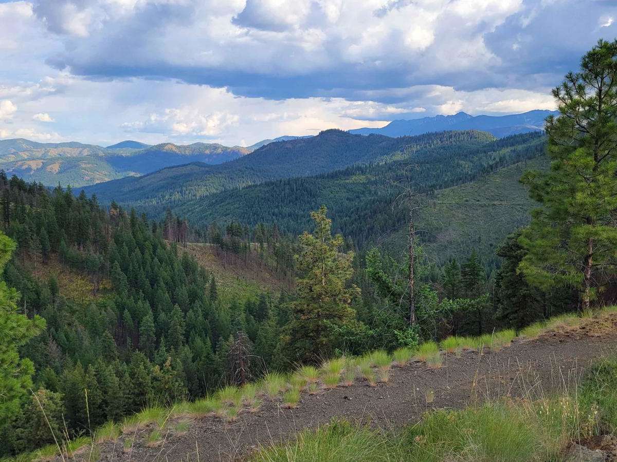 Cabin Creek photo 6