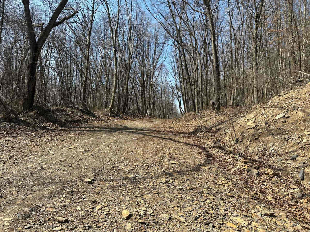 Ashland 108 photo 3