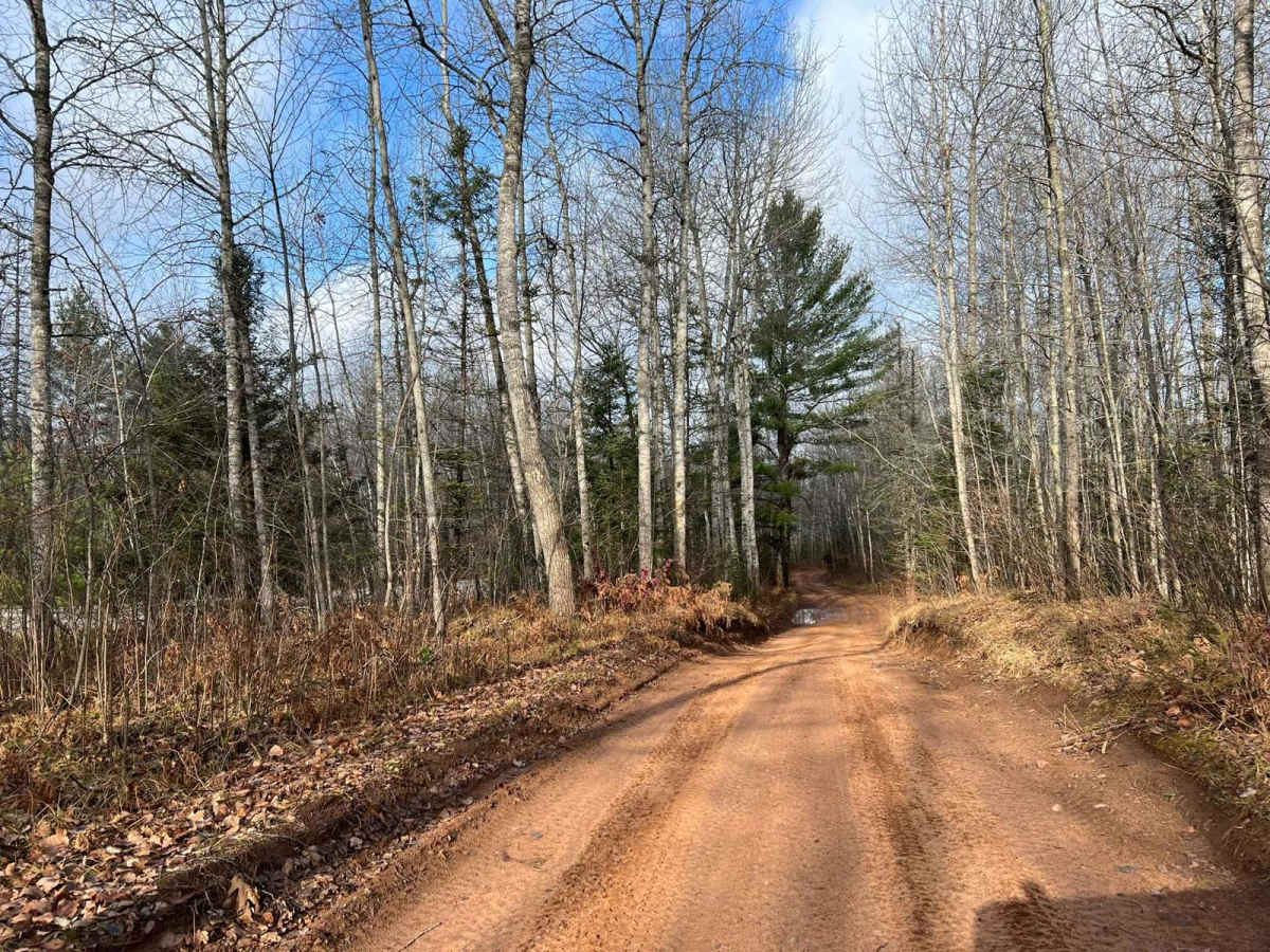 Florence County F16/6 Barrens Natural Area Trail photo 3