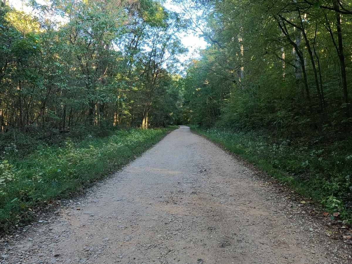 Redd Hollow Road - FS 171 photo 5