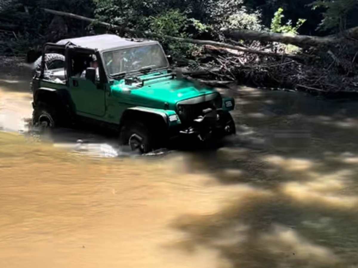 Conasauga Creek photo 5