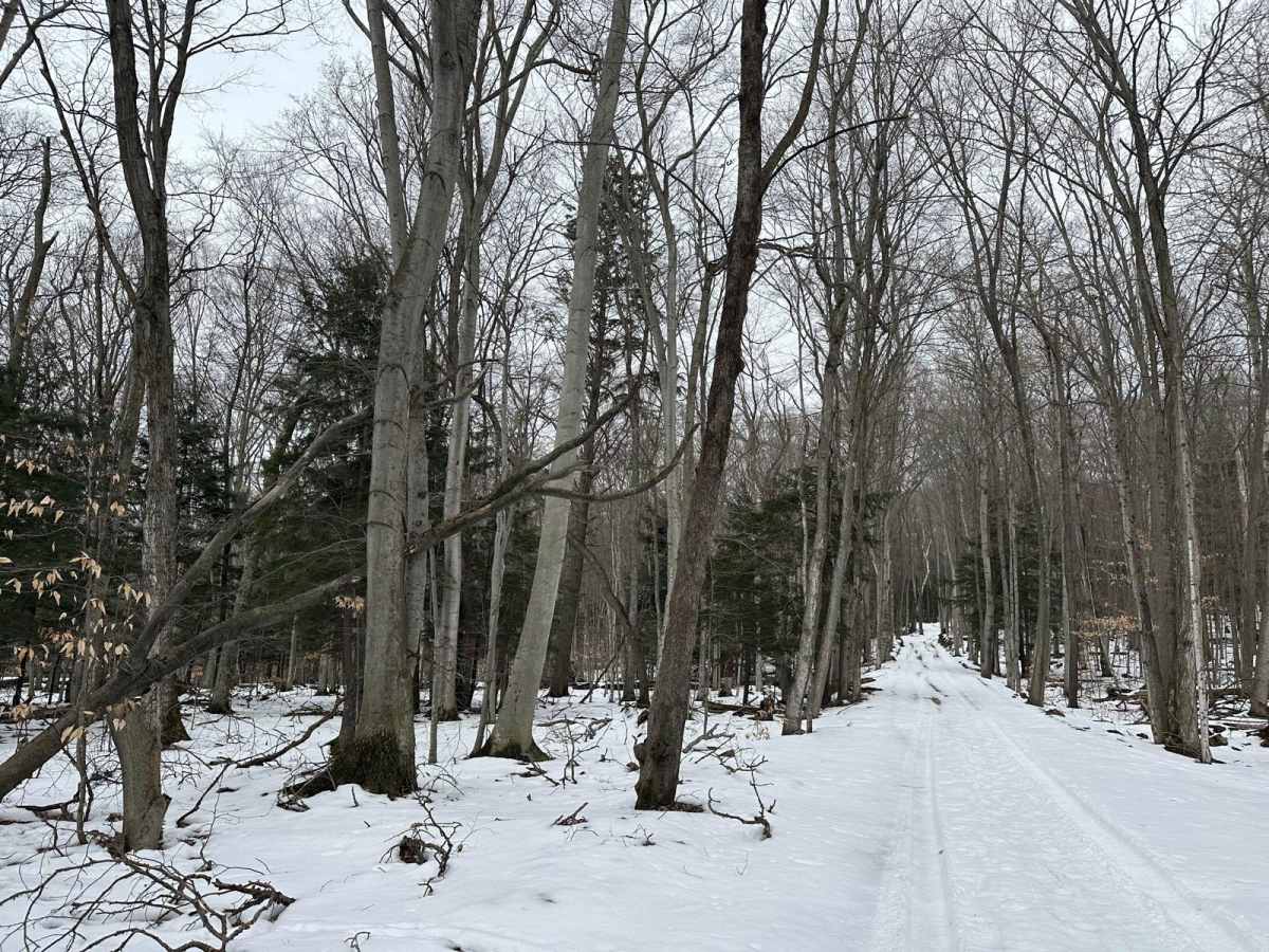 Shauger Hill Road photo 4