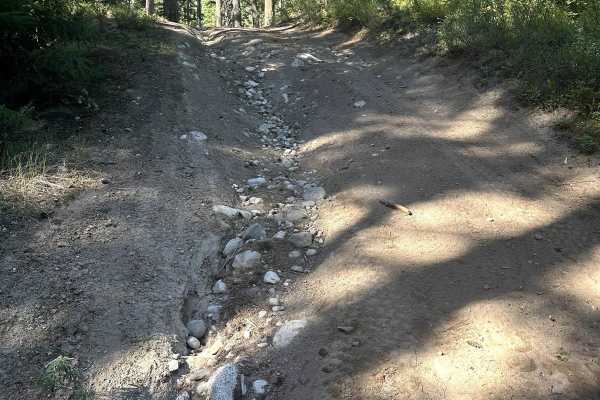 Chiwawa Loop Trail