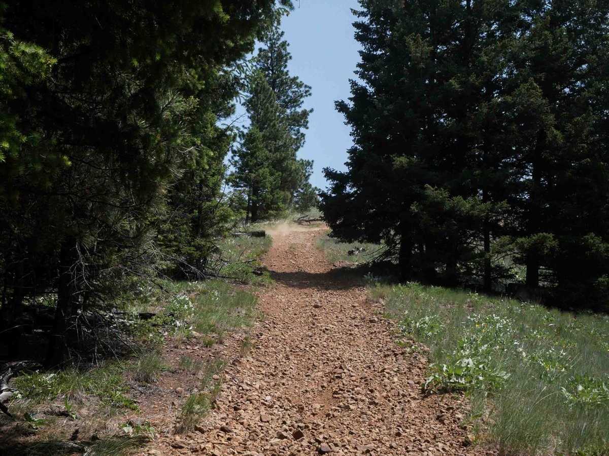 Trail #185 (Part 1) trail photo