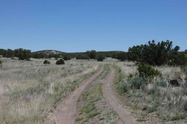 Bear Mountain Foothills
