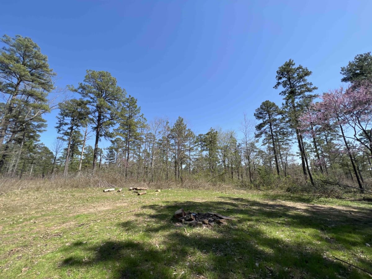 Rock Creek 1319 photo 5
