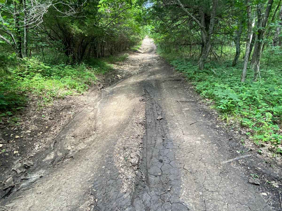 Takanoah's Hill photo 3