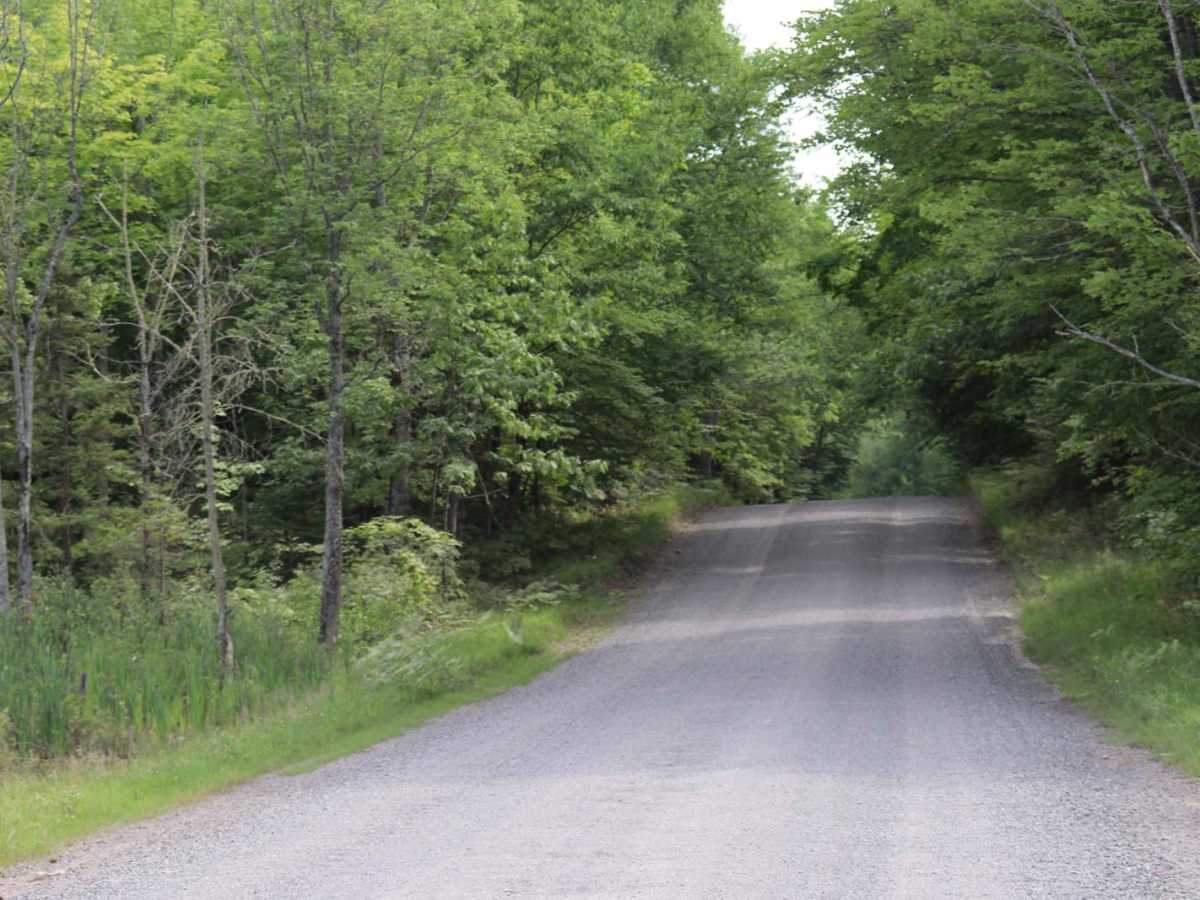 Pike Lake Road photo 3