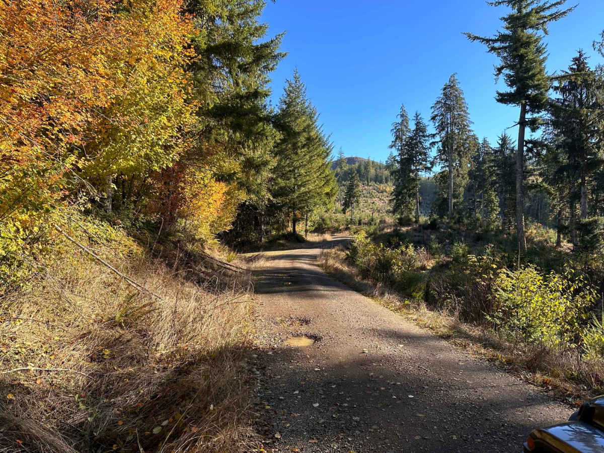 Osweg Creek Loop photo 5