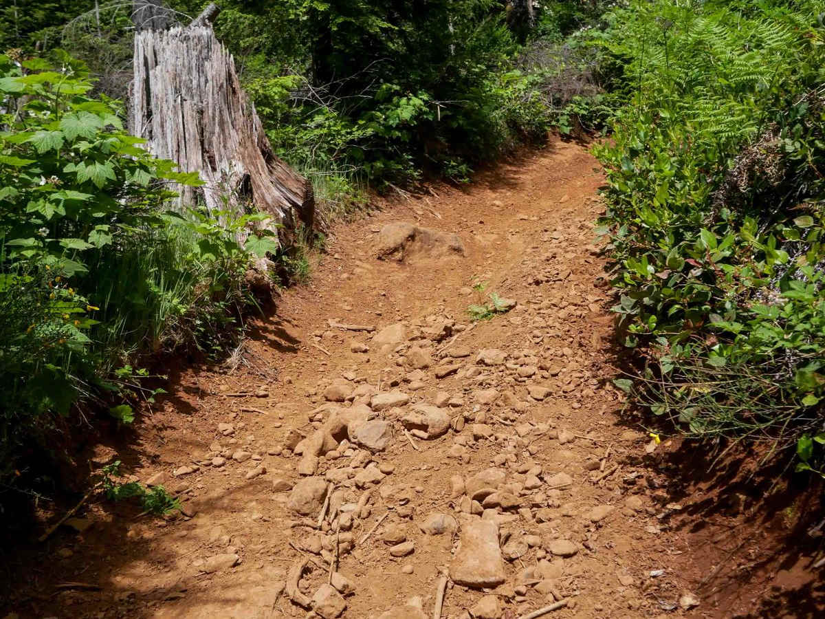 Broken Axle trail photo