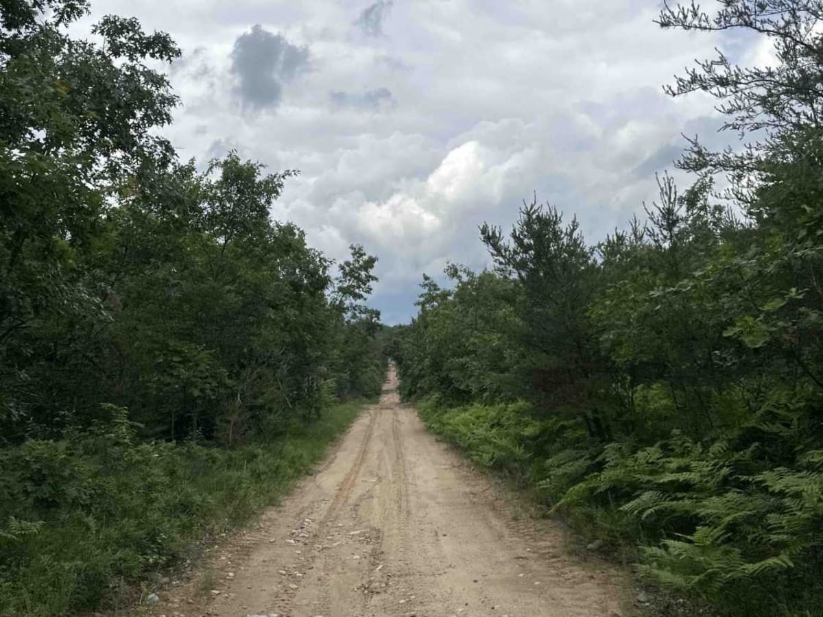 LP 9 to Elk Road photo 5