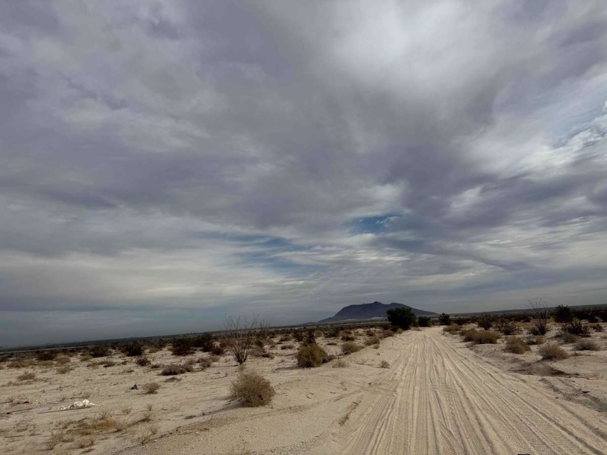Mexicali 1 photo 3