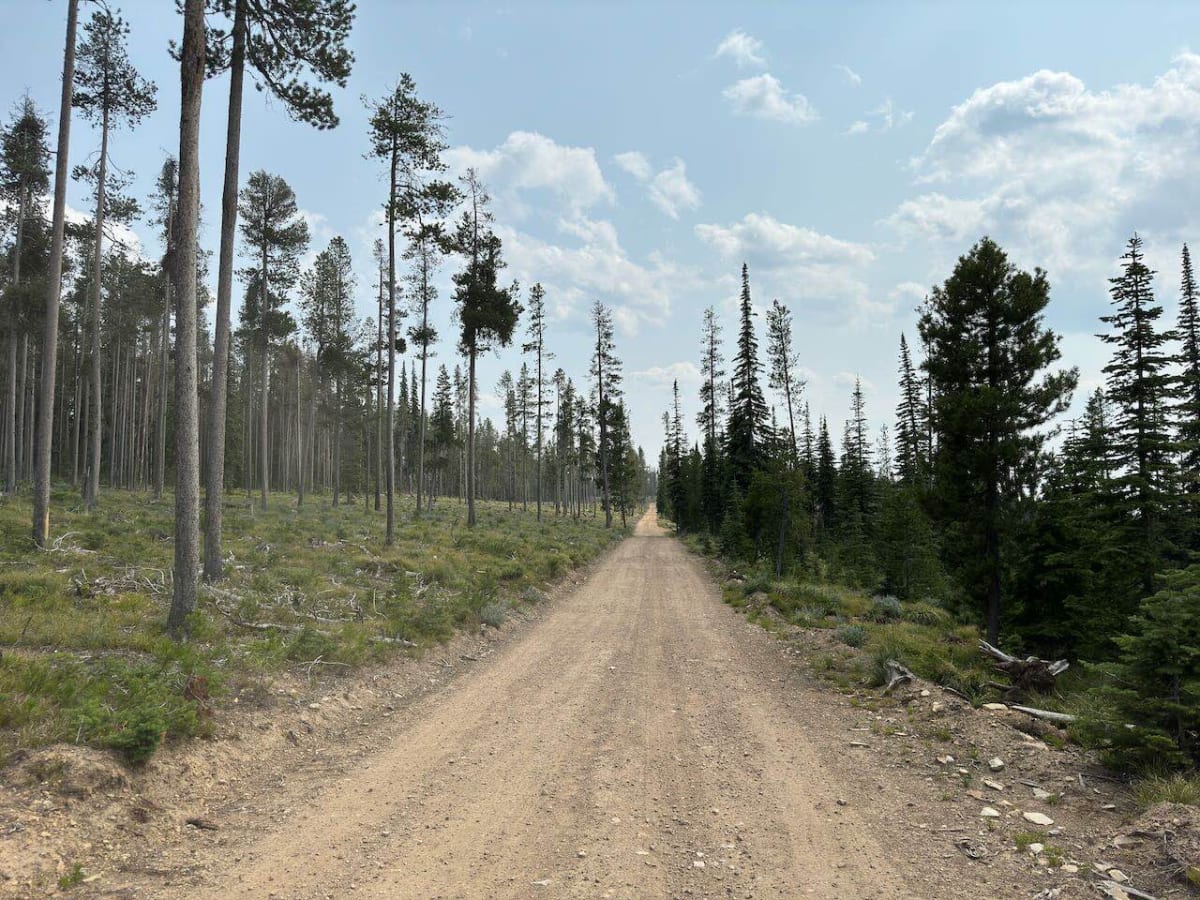 Anderson Mountain Trail photo 6
