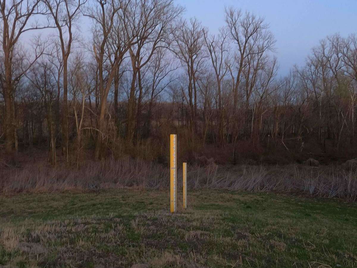 Wolf Bayou Road photo 3