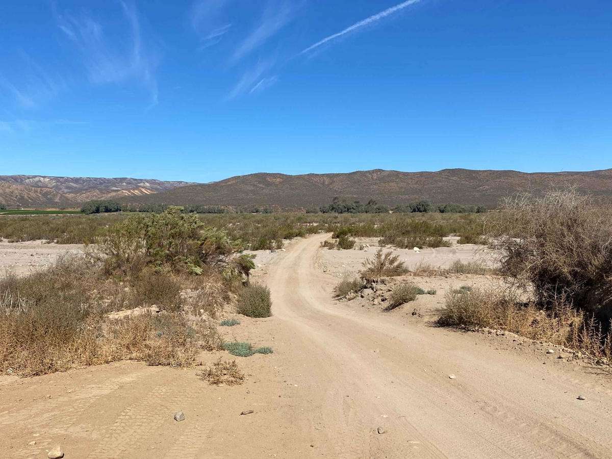 San Quintin Connection photo 2