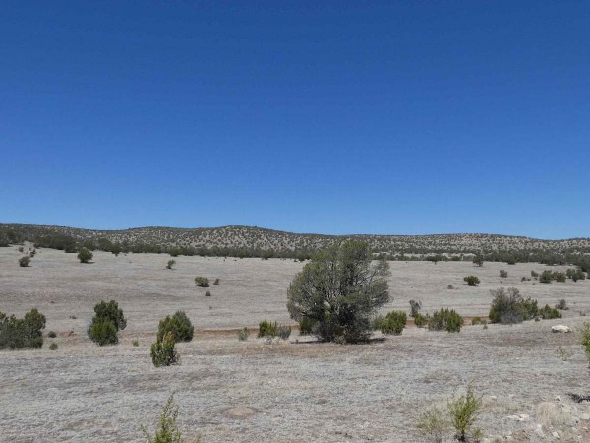Chimney Lake to Angel Canyon (FS176) photo 3