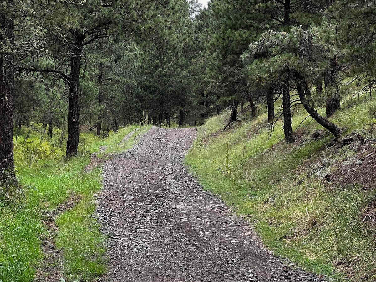 Bald Hills photo 3