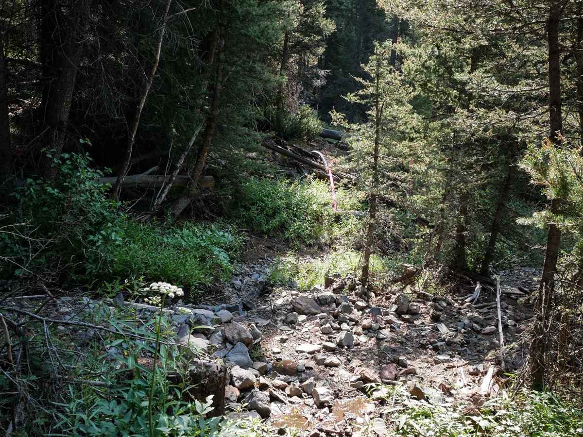 Eleven Mile - Martin Creek ATV photo 2