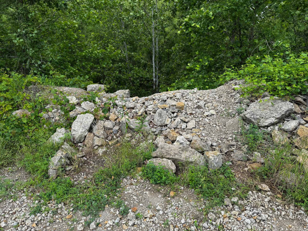 Red 190 trail photo