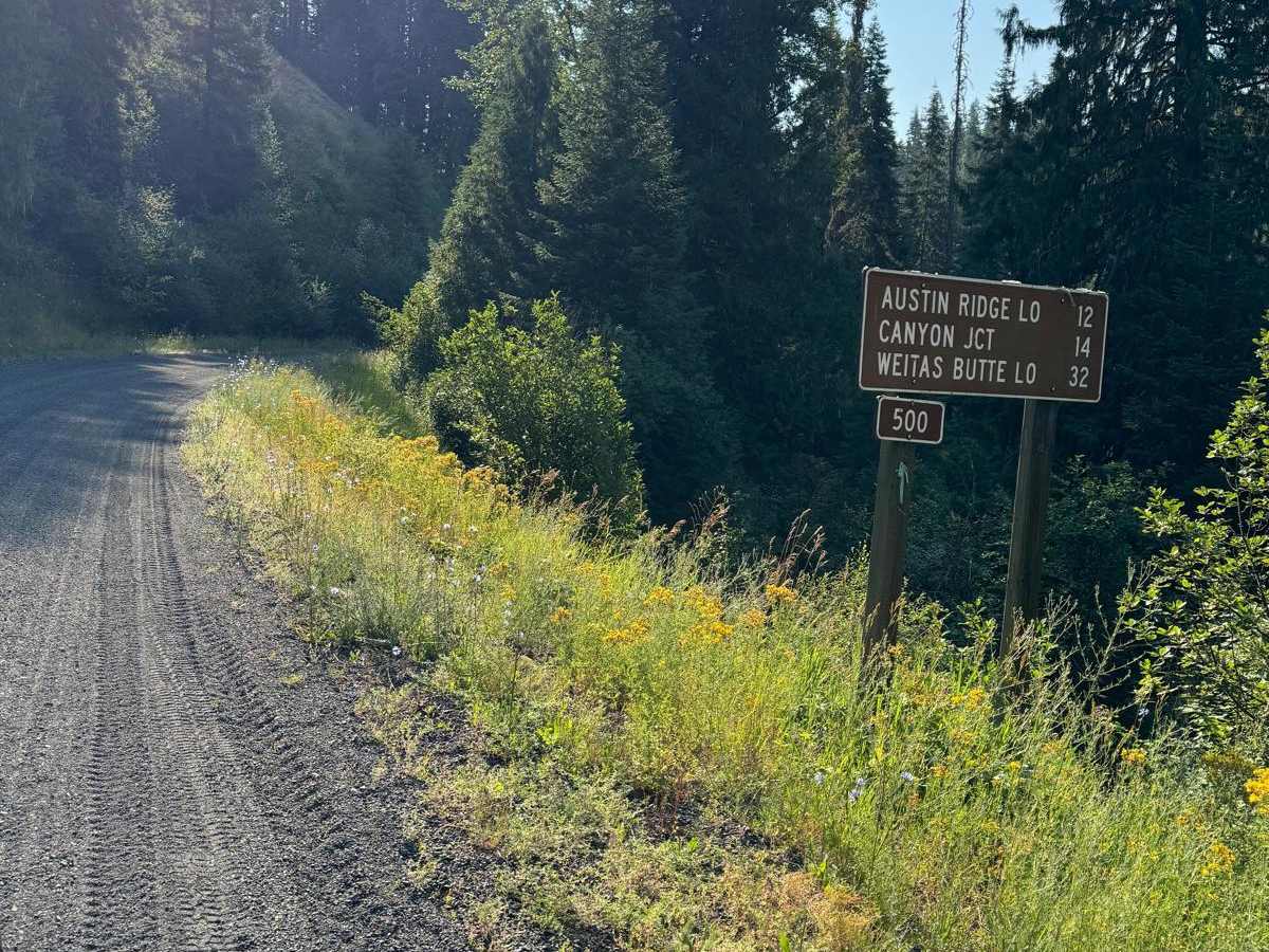 Lolo Motorway (aka FS Rd #500) trail photo